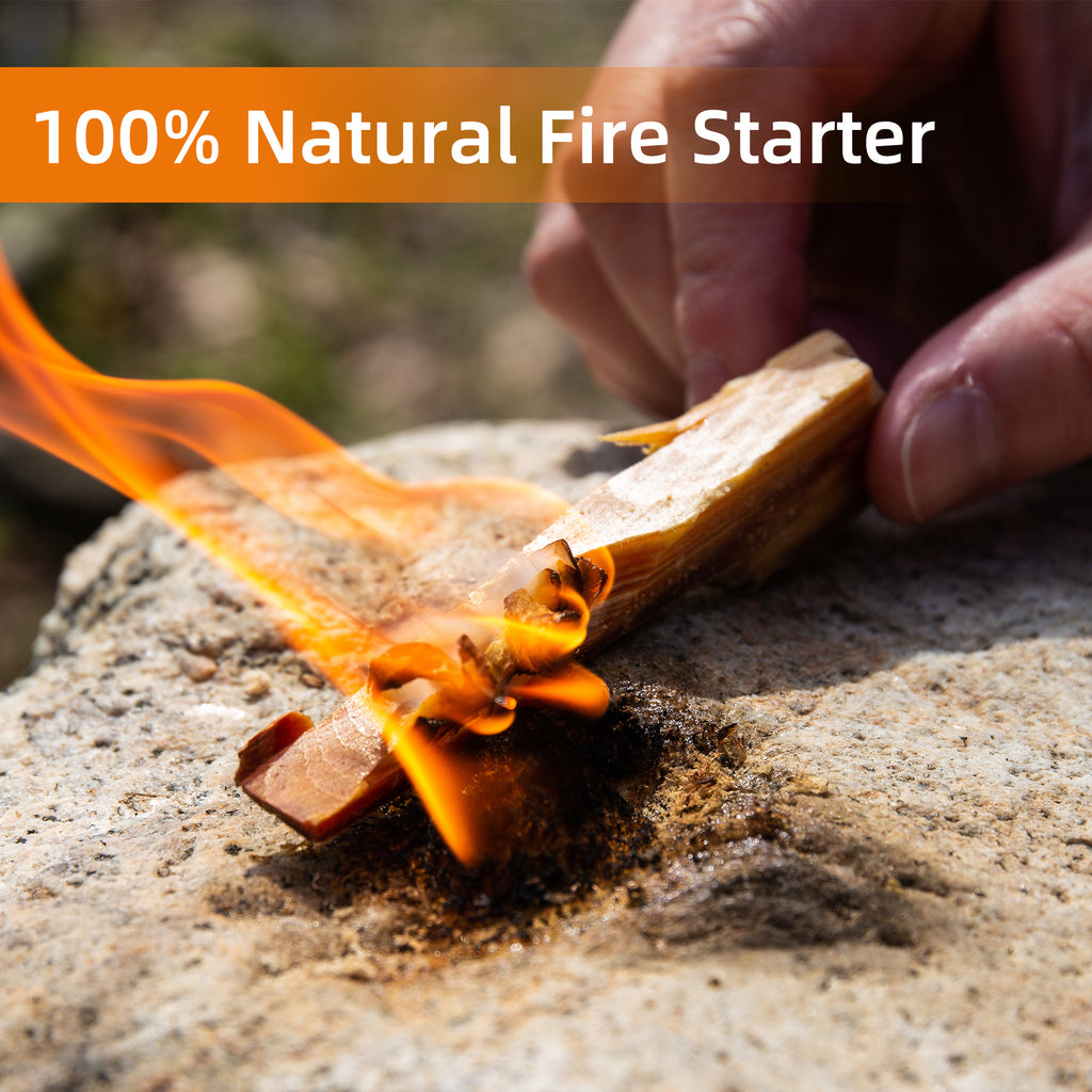 25028852